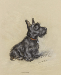 Art Prints of Scottish Terrier, Nannette by Lucy Dawson