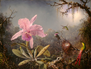 Art Prints of Cattleya Orchid and Three Hummingbirds by Martin Johnson Heade