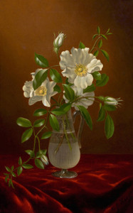 Art Prints of Cherokee Roses in a Glass by Martin Johnson Heade