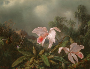 Art Prints of Jungle Orchids and Hummingbirds 1872 by Martin Johnson Heade