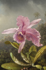 Art Prints of Orchid with Two Hummingbirds, detail by Martin Johnson Heade