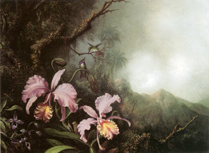 Art Prints of Two Orchids in a Mountain Landscape by Martin Johnson Heade