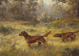 Art Prints of Irish Setters Pointing by Percival Leonard Rosseau