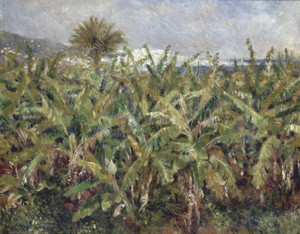 Art Prints of Field of Banana Trees by Pierre-Auguste Renoir