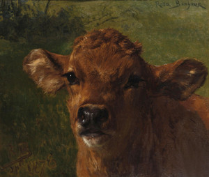 Art Prints of Head of a Calf by Rosa Bonheur