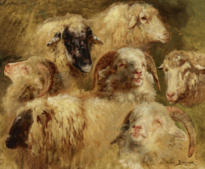 Art Prints of Heads of Sheep and Rams by Rosa Bonheur