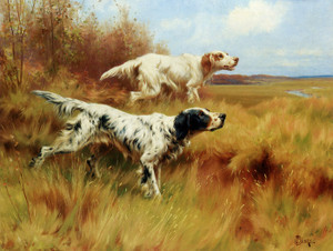 Art Prints of English Setters on Point by Thomas Blinks