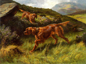 Art Prints of Lords of the Glen, Irish Setters by Thomas Blinks