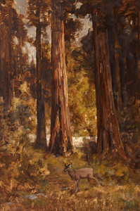 Art Prints of Redwood Grove with Deer by Thomas Hill