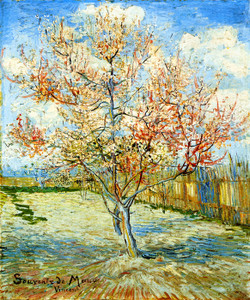 Art Prints of Pink Peach Tree in Blossom by Vincent Van Gogh