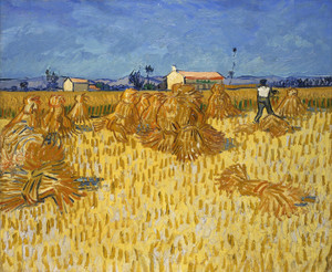 Art Prints of Corn Harvest in Provence by Vincent Van Gogh