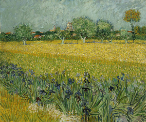 Art Prints of Field with Flowers near Arles by Vincent Van Gogh