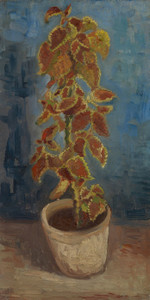 Art Prints of Flame Nettle in a Flowerpot by Vincent Van Gogh
