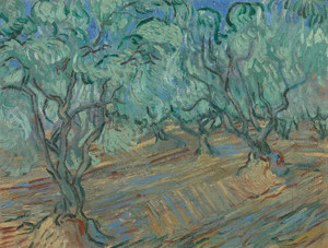 Art Prints of Olive Grove, 1889 by Vincent Van Gogh