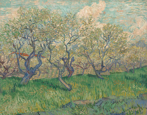 Art Prints of Orchard in Blossom, 1889 by Vincent Van Gogh