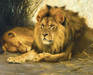 Art Prints of Resting Lions by Wilhelm Kuhnert