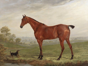 Art Prints of A Chestnut Horse in a Landscape with Terrier by William Webb