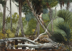 Art Prints of In the Jungle, Florida by Winslow Homer