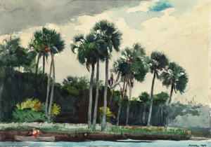 Art Prints of Red Shirt, Homosassa Florida by Winslow Homer