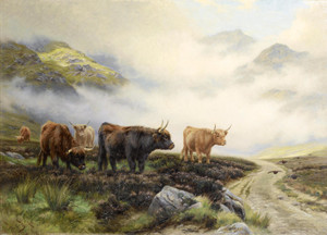 Art Prints of Highland Cattle in a Pass by Wright Barker