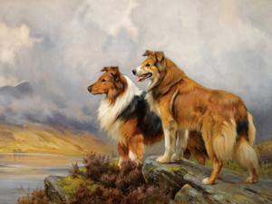 Art Prints of Two Collies Above a Lake by Wright Barker
