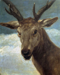 Art prints of Deer Head by Diego Velazquez