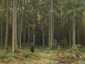 Art prints of The Forest of Countess Mordvinova, 1891 by Ivan Shishkin