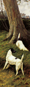 Giclee prints of Totteridge Smooth Fox Terriers I by Maud Earl