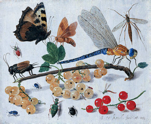 Art Prints of Gooseberries and Dragonfly by Jon Van Kessel the Elder