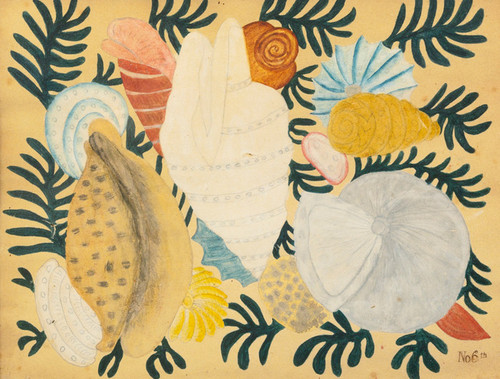 Art Prints of Seashells and Seaweed, American School