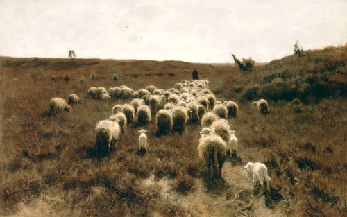 Art Prints of The Return of the Flock, Laren by Anton Mauve