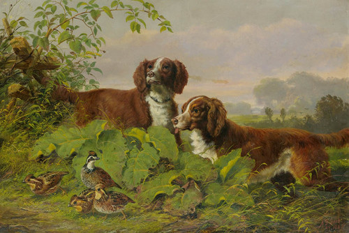 Art Prints of Two Setters and Quail by Arthur Fitzwilliam Tait