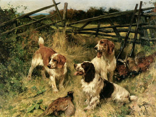 Art Prints of A Good Day in the Field by Arthur Wardle
