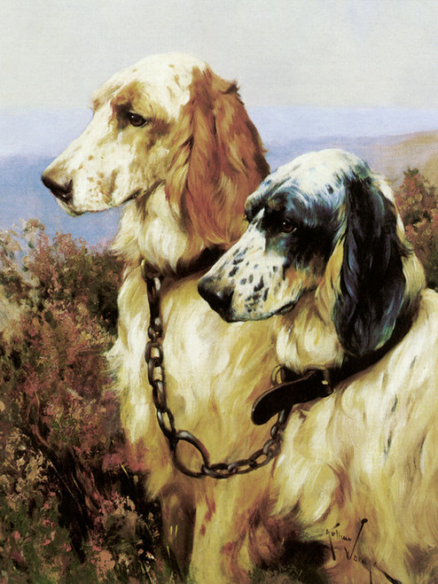 Art Prints of English Setters II by Arthur Wardle