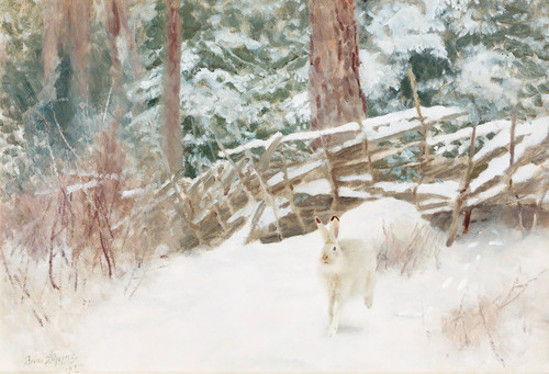 Art Prints of Winter Hare at the Fence by Bruno Liljefors