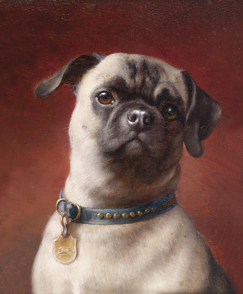 Art Prints of Mops by Carl Reichert