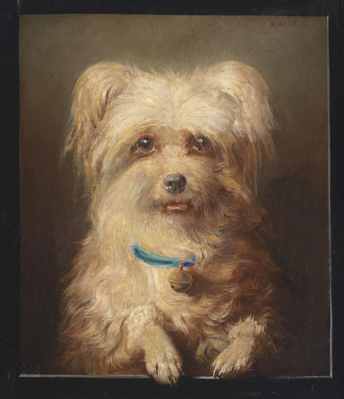 Art Prints of Terrier Portrait by Carl Reichert