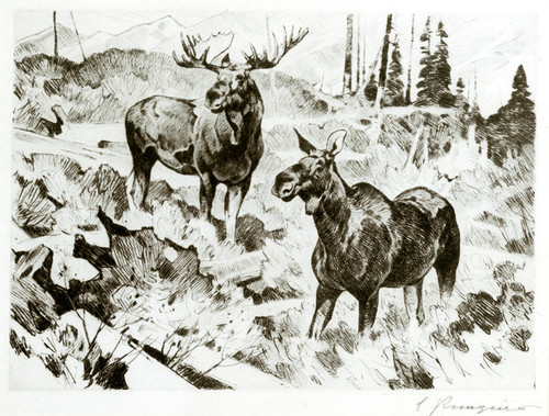 Art Prints of Alaskan Moose by Carl Rungius