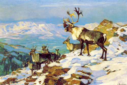 Art Prints of On the Upper Yukon Osborne by Carl Rungius
