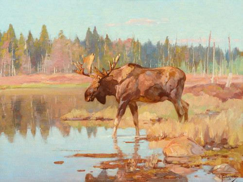 Art Prints of Moose in Marshland by Carl Rungius