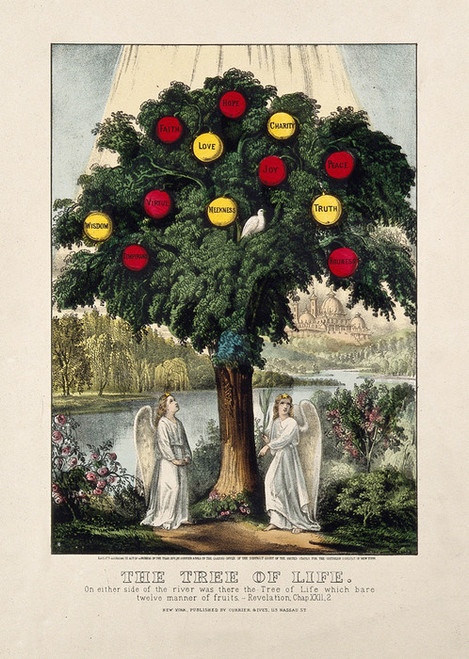 Art Prints of Tree Bearing Apples Representing Christian Virtue by Currier & Ives