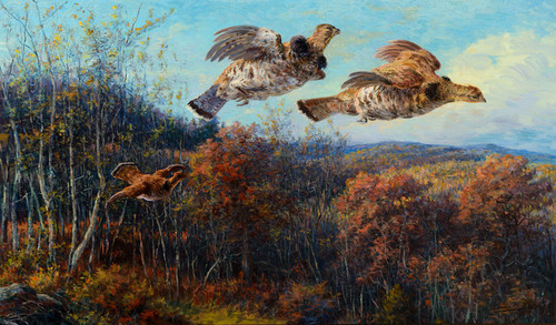 Art Prints of Grouse in Flight by Edmund Henry Osthaus