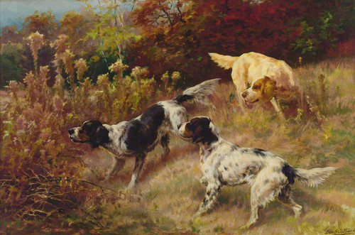 Art Prints of Three Setters on the Hunt by Edmund Henry Osthaus
