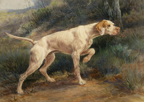 Art Prints of Pointer in a Landscape by Edmund Henry Osthaus