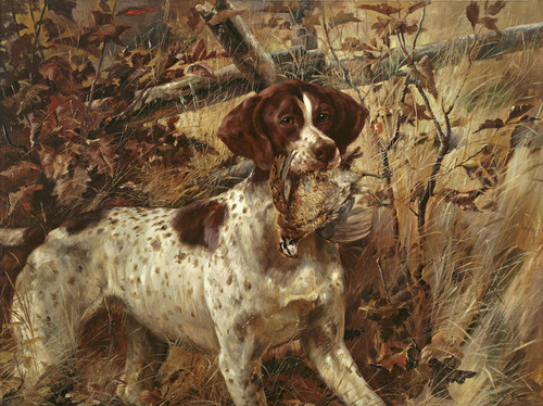 Art Prints of Pointer Soft Mouthing a Quail by Edmund Henry Osthaus