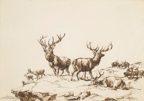 Art Prints of Stags and Hinds on a Mountain by Edwin Henry Landseer