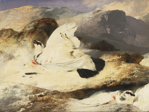 Art Prints of Ptarmigan in a Landscape by Edwin Henry Landseer