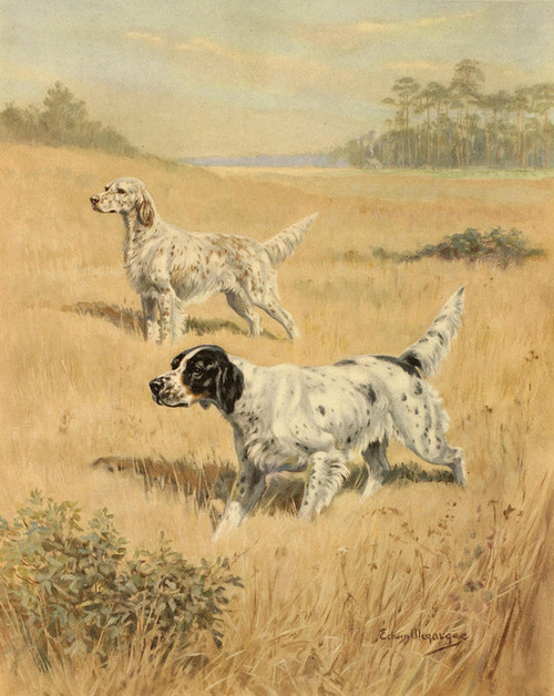 Art Prints of English Setters in a Landscape by Edwin Megargee