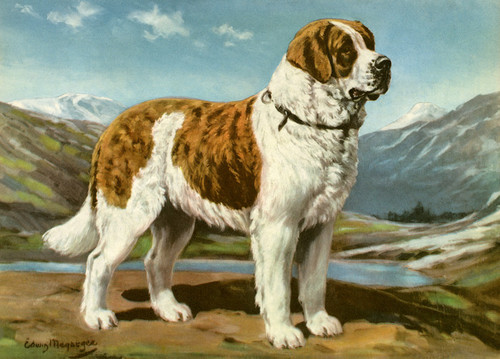 Art Prints of Saint Bernard by Edwin Megargee