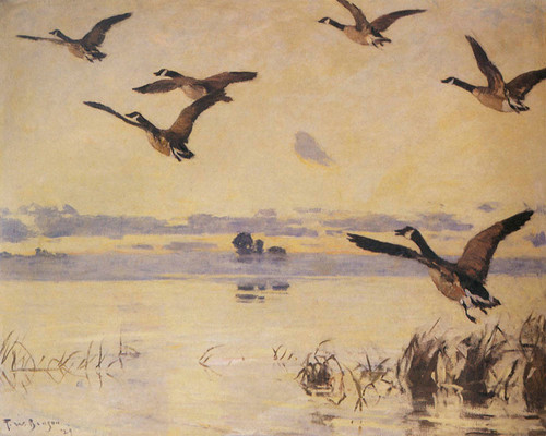 Art Prints of Canadian Geese taking Flight by Frank Weston Benson
